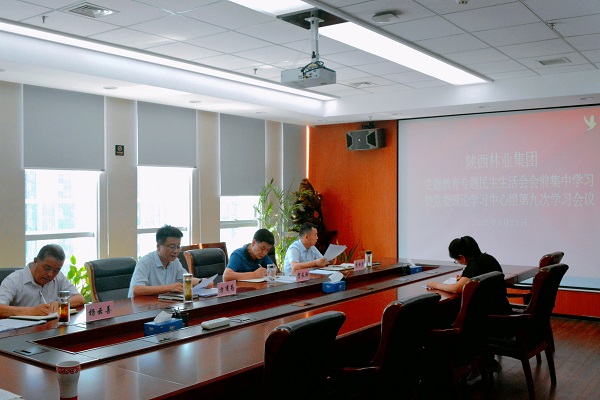 PA视讯,PlayAce林业集团