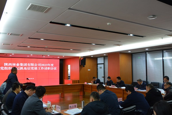 PA视讯,PlayAce林业集团