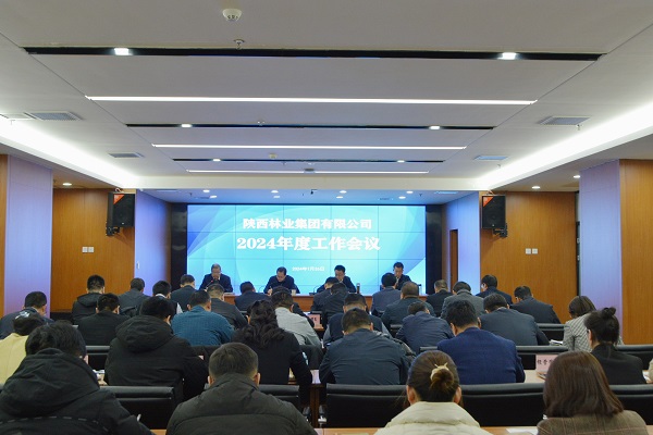 PA视讯,PlayAce林业集团