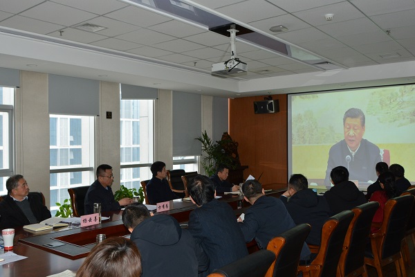 PA视讯,PlayAce林业集团