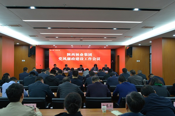 PA视讯,PlayAce林业集团