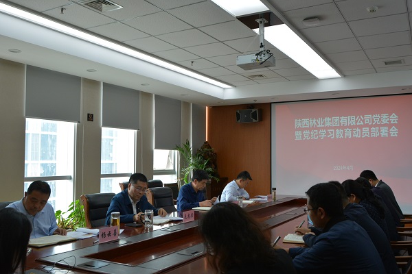 PA视讯,PlayAce林业集团