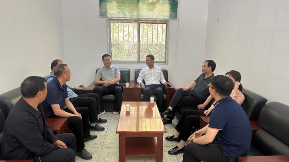 PA视讯,PlayAce林业集团